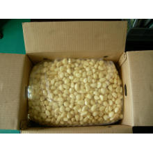 New Crop Fresh Peeled Garlic (180-220grains/kg)